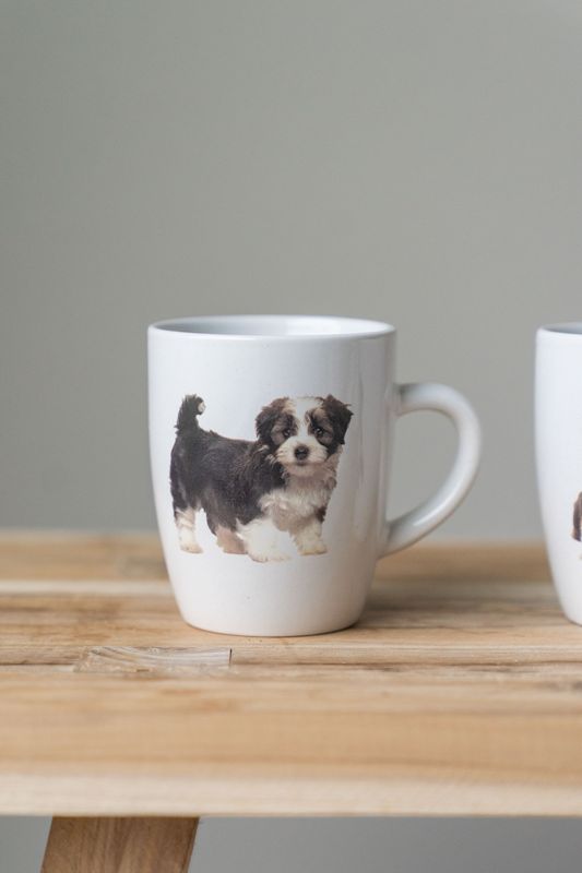 Kaffekopp 3pk - Hund