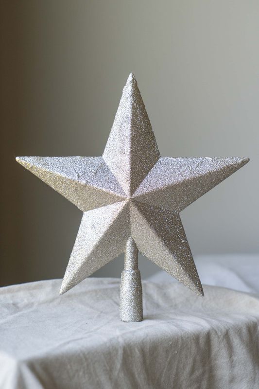 Vinterjuveler Julestjerne 28cm Champagne