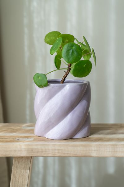 Hovedbilde Blomsterpotte swirl – Lilla