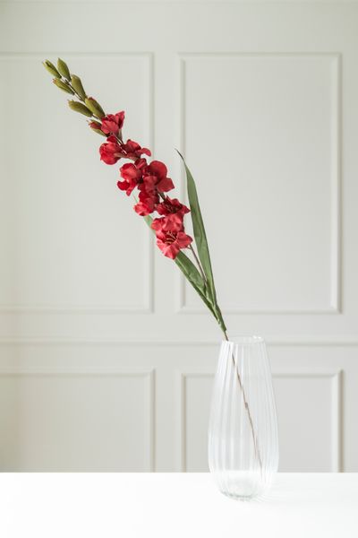 Hovedbilde Kunstig Blomst Gladiol 106cm - Rød