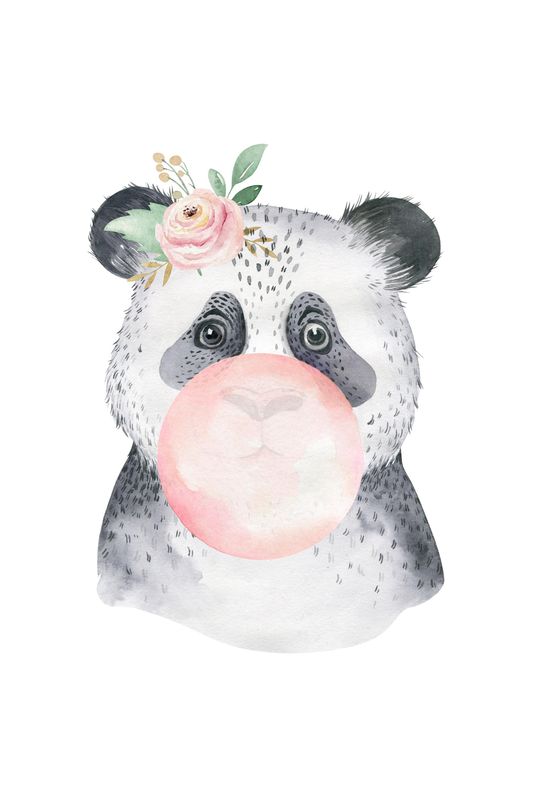 Poster - Panda m/Tyggegummi