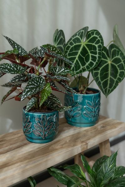 Hovedbilde Blomsterpotte Blad – 2pk Blå