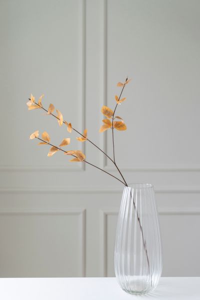 Hovedbilde Kunstig Blomst Eucalyptus 85cm - Oransje