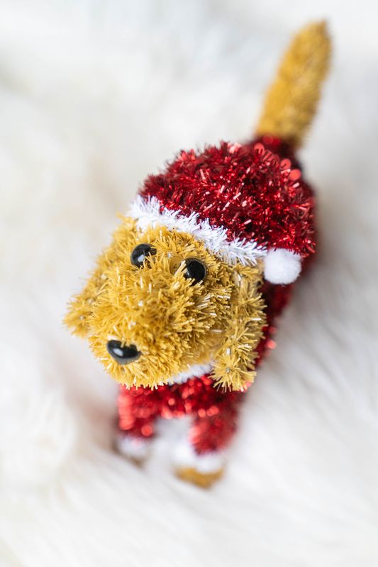Tinsel Dachs