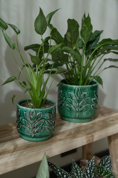 Hovedbilde Blomsterpotte Blad – 2pk Grønn