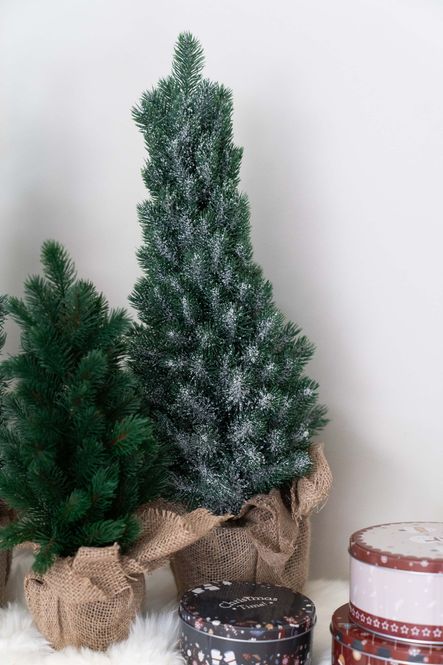 Hovedbilde Furutre 65cm Dryss