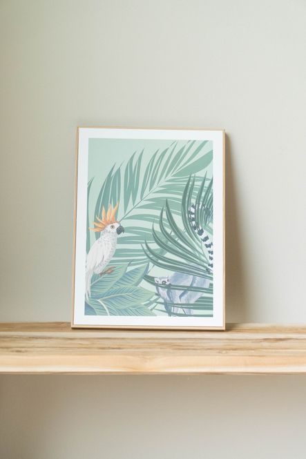 Hovedbilde Bilde Safari 38x38cm - Papegøye