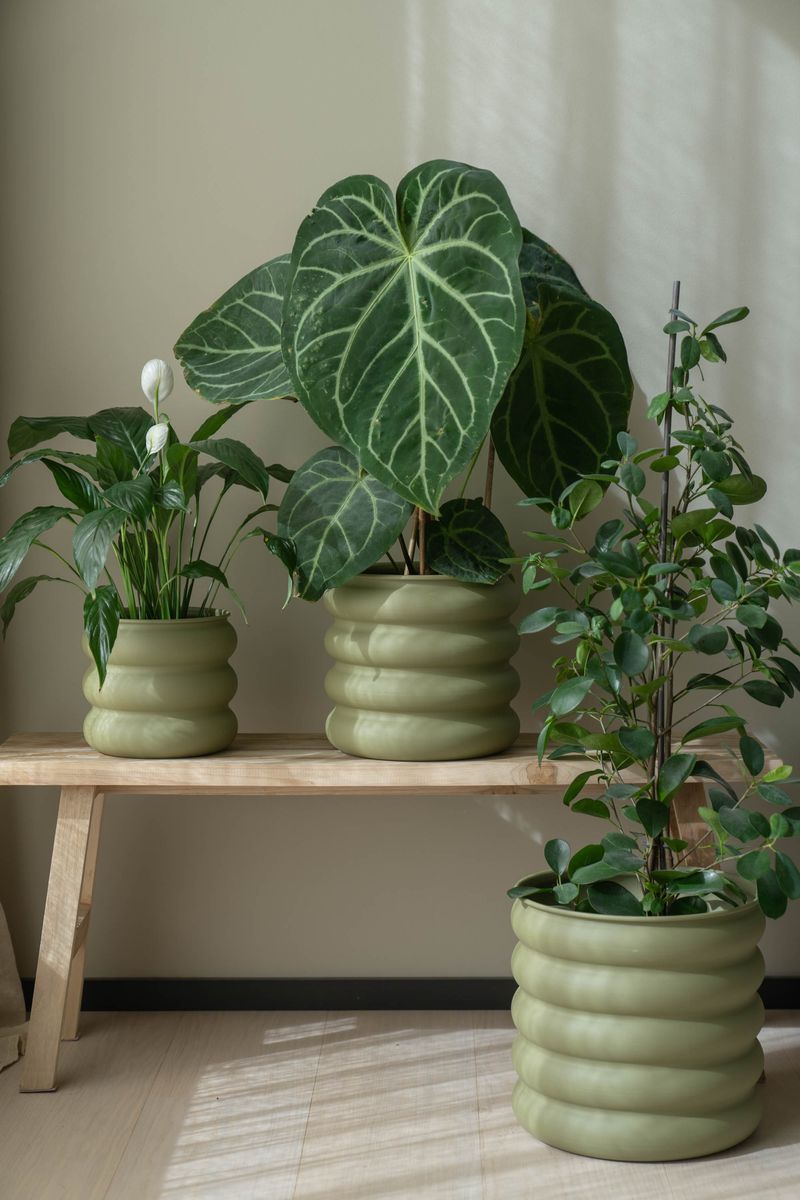 Blomsterpotte galvanisert – 3pk – lys grønn
