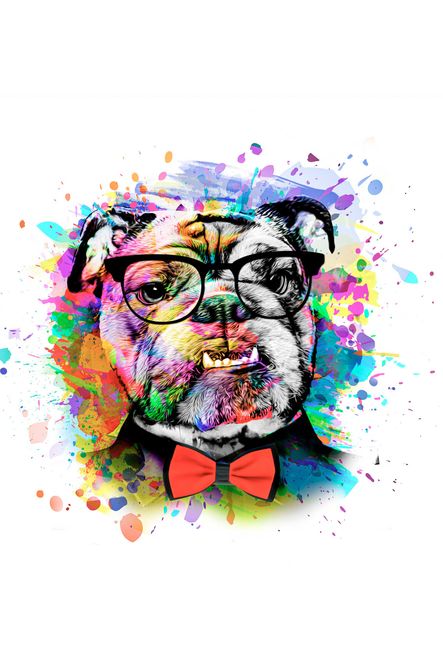 Hovedbilde Poster - Farge Hund 2