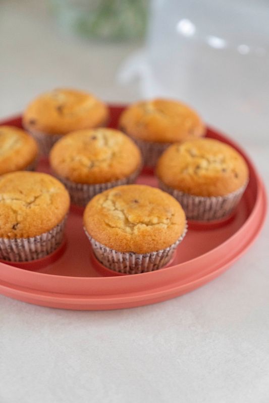 Kakeboks m/cupcake holder - Korall