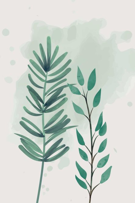 Hovedbilde Poster - Plante 3