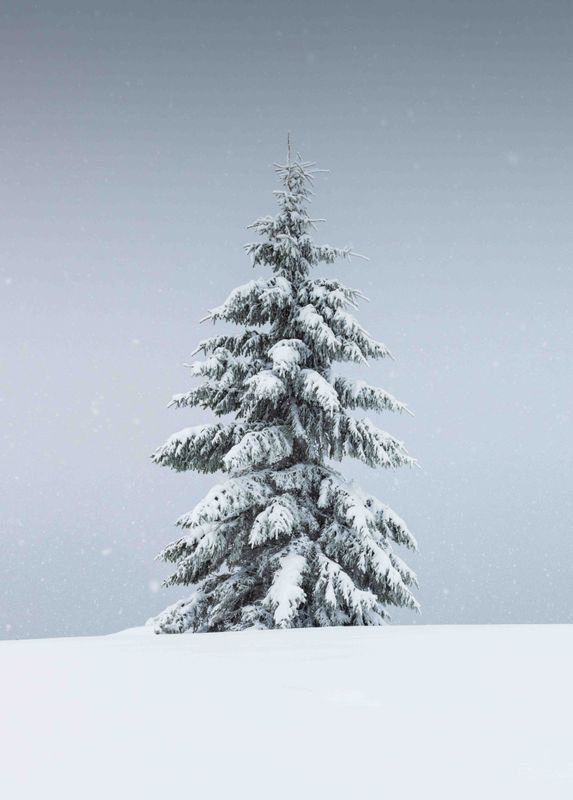Poster - Vinter Tre