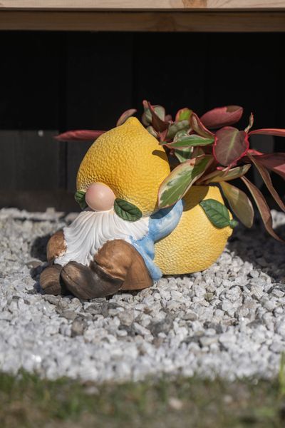 Hovedbilde Blomsterpotte Fruktnisse – 32×18×23 cm ...