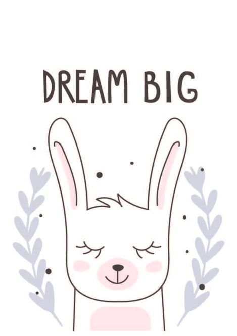 Hovedbilde Poster - Dream Big Kanin