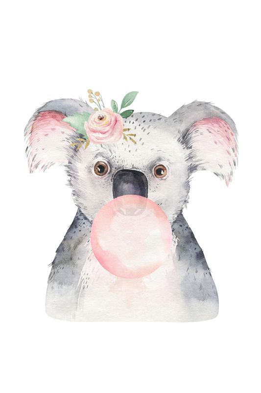 Poster - Koala m/Tyggegummi