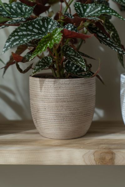 Hovedbilde Blomsterpotte 13,5x12,5cm - Beige