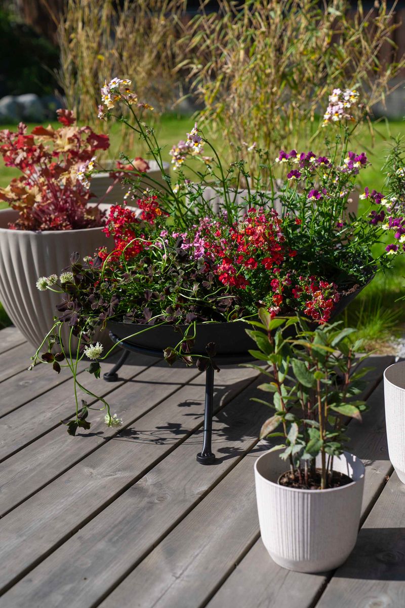 Bålpanne 50cm