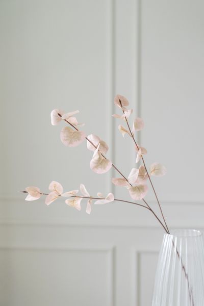 Hovedbilde Kunstig Blomst Eucalyptus 85cm - Hvit
