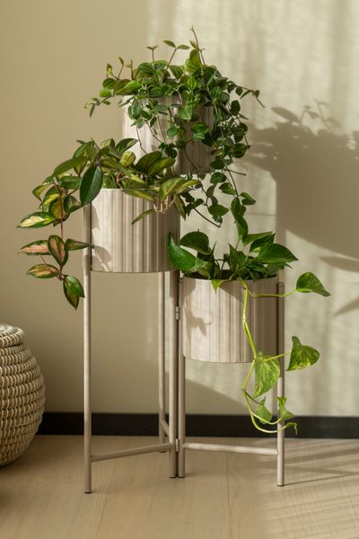 Hovedbilde Blomsterstativ m/3 nivå Brun