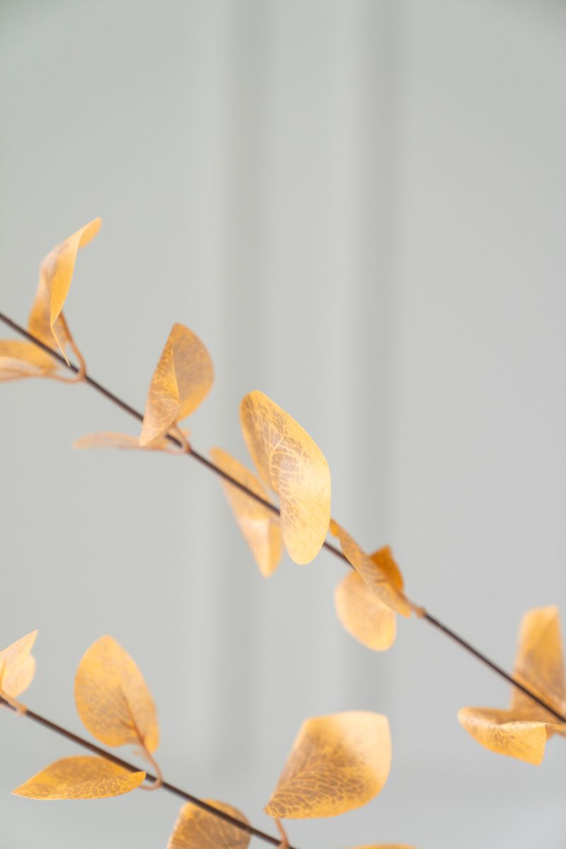 Kunstig Blomst Eucalyptus 85cm - Oransje
